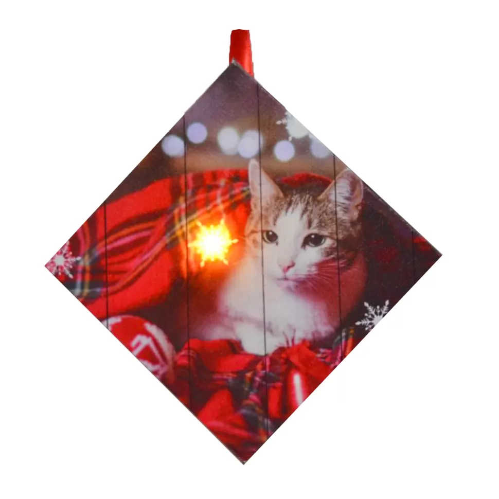 Christmas Forever CANVAS 5″X5″ 1 LED W/ CAT IN A BLANKET