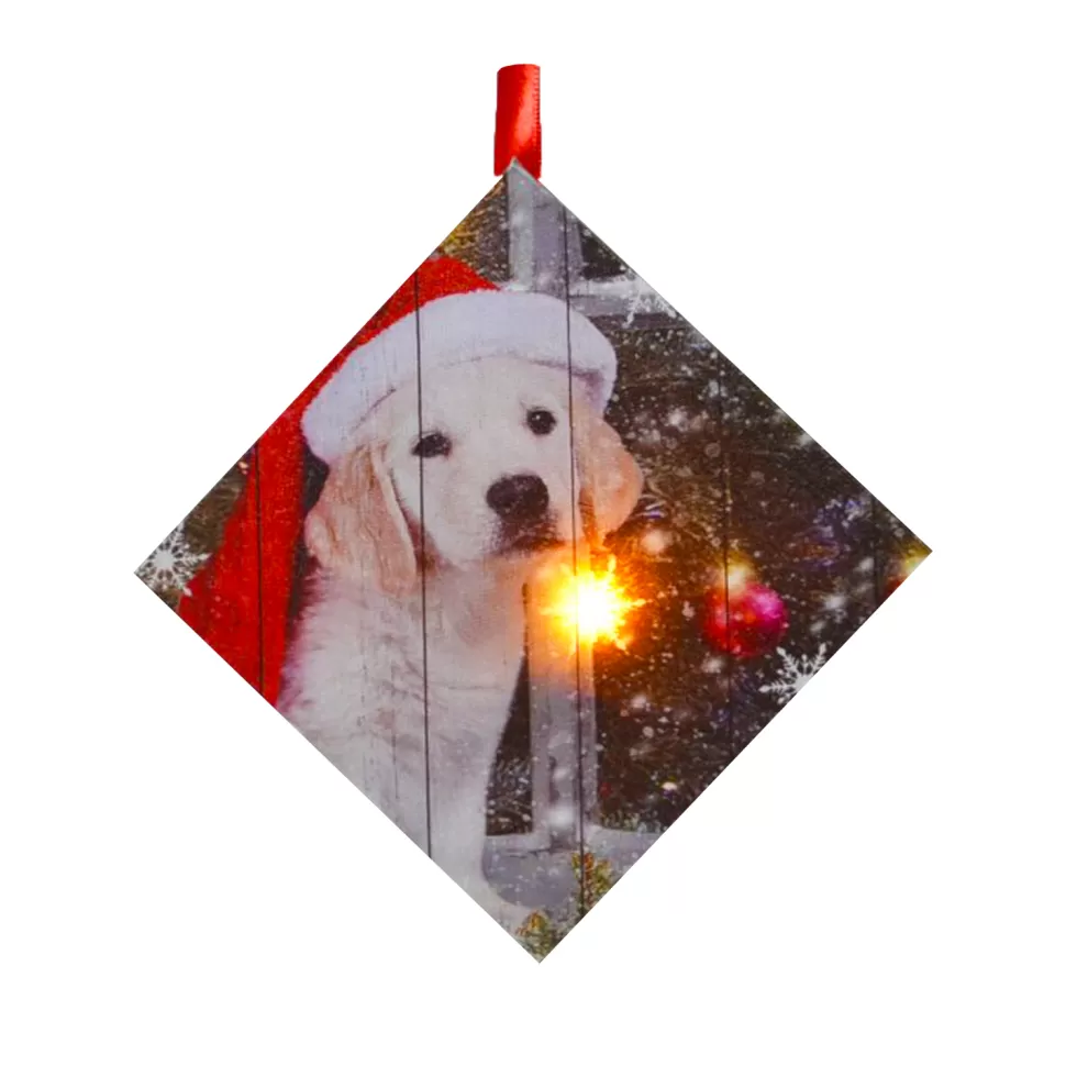 Christmas Forever CANVAS 5″X5″ 1 LED W/ PUPPY W/ SANTA HAT