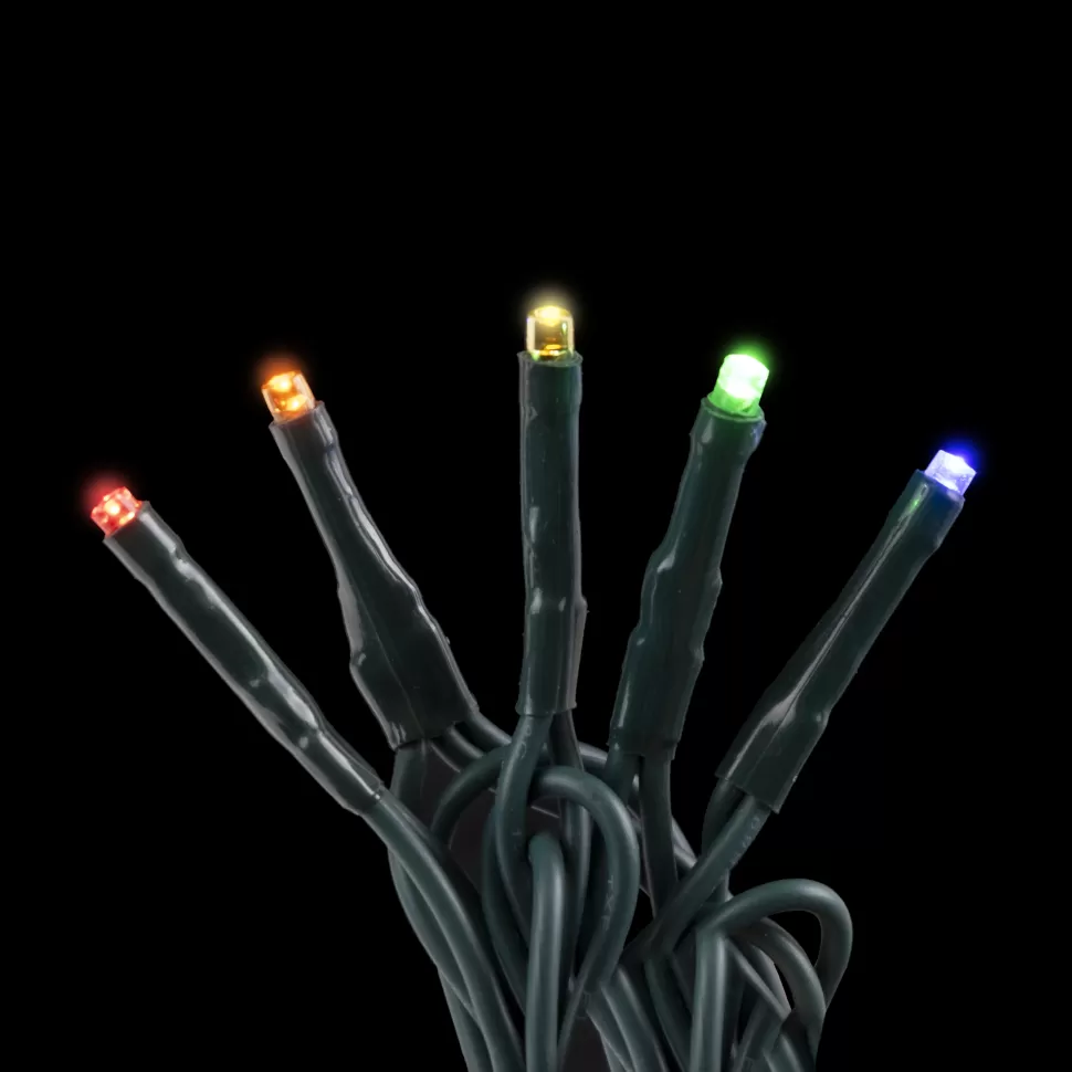 Christmas Forever LIGHT LED I/D MICROBRIGHT 50L MULTI