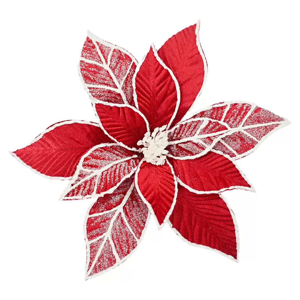 Christmas Forever POINSETTIA HEAD RED /WHITE 11.5″ VELVET W/ CLIP