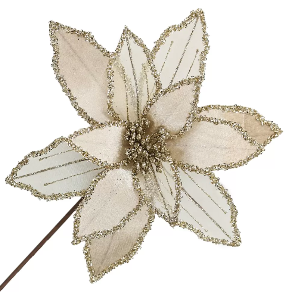 Christmas Forever POINSETTIA STEM CHAMPAGNE 12″ HEAD VELVET SHEER W/ 20″ STEM