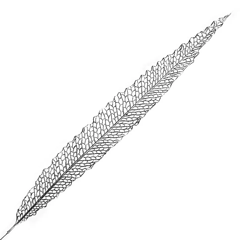 Christmas Forever STEM LEAF ELONGATED HOLLOW 40″ SILVER GLITTER